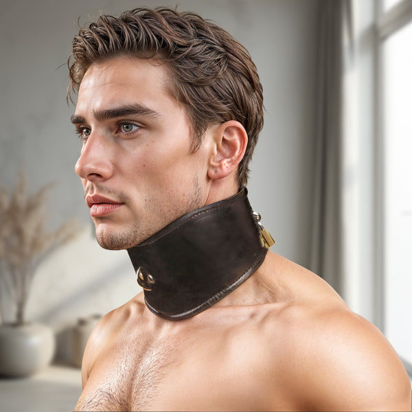 Padded Leather Locking Posture Collar