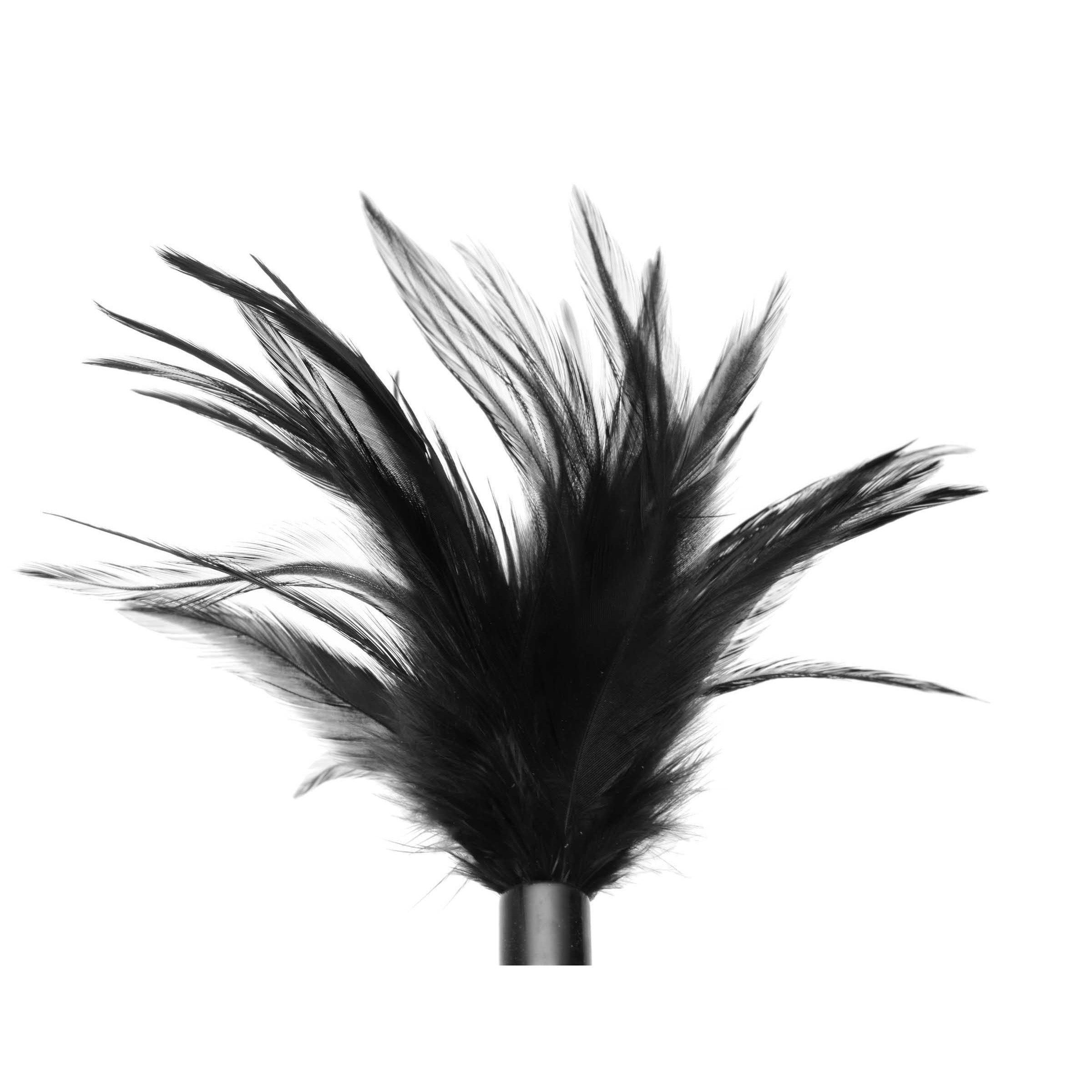 Le Plume Feather Tickler