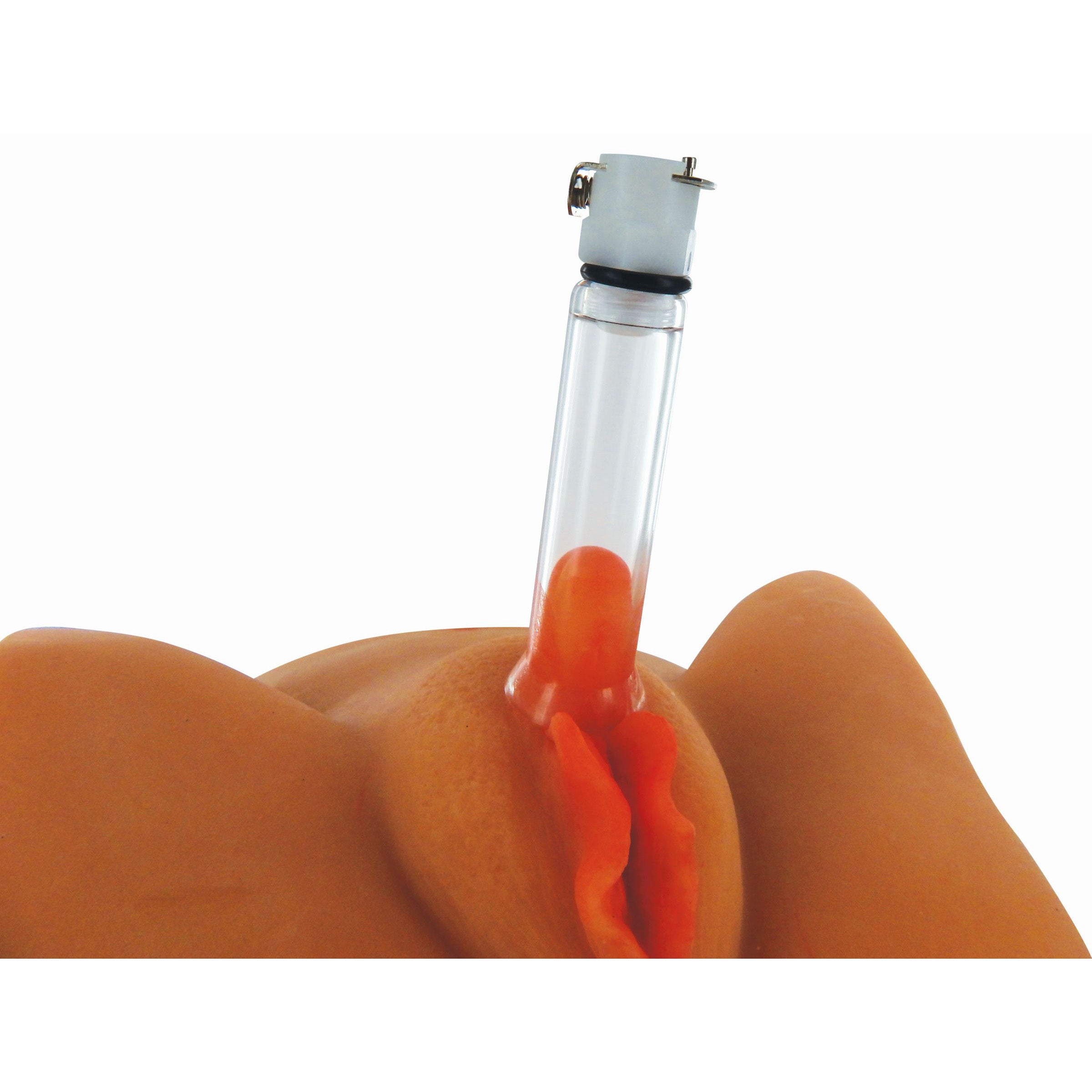 Clitoral Pumping System with Detachable Acrylic Cylinder