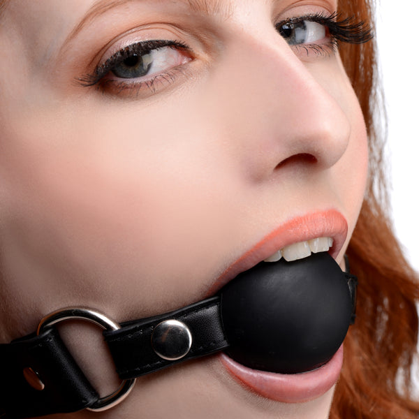 Interchangeable Silicone Ball Gag Set