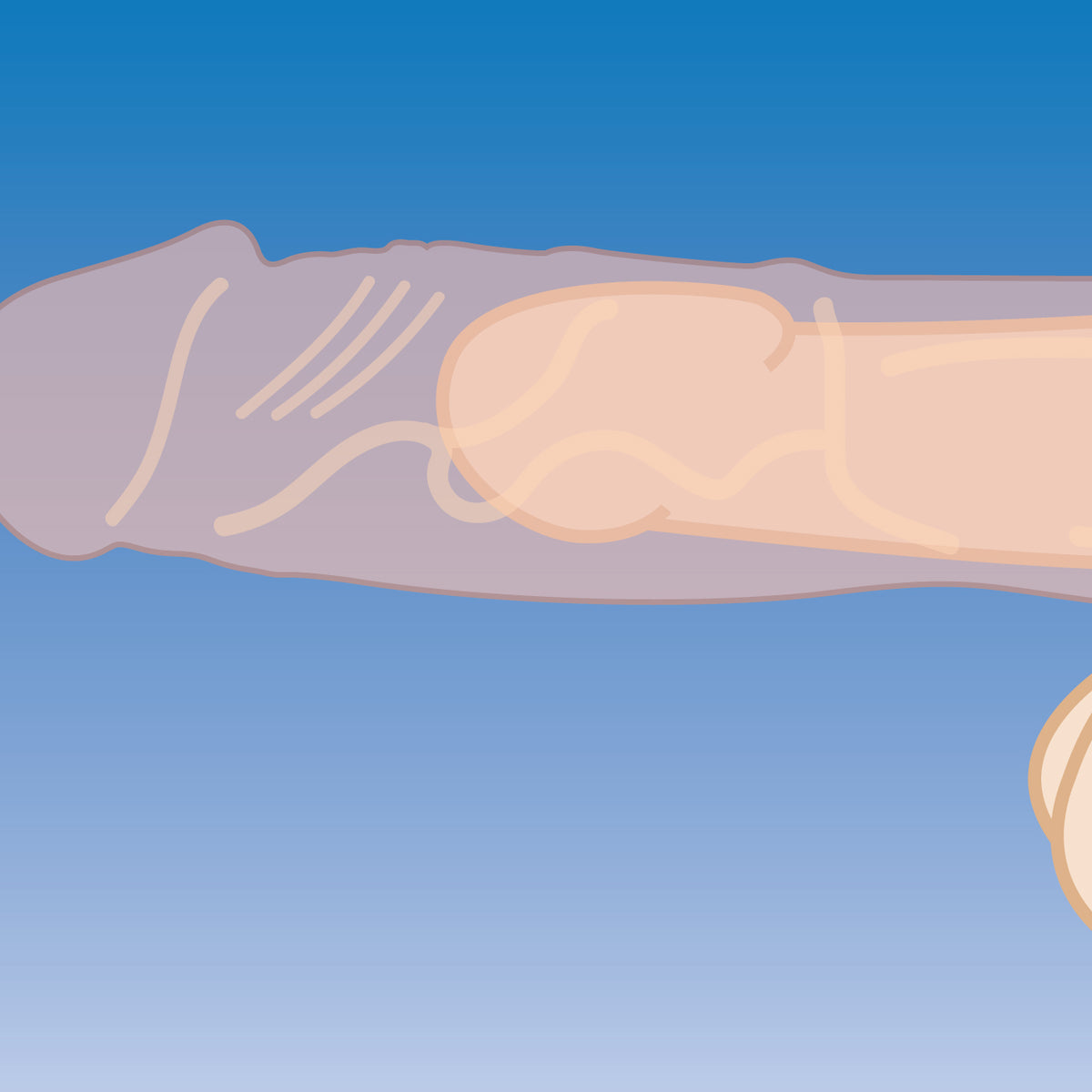 2 Inch Silicone Penis Extension