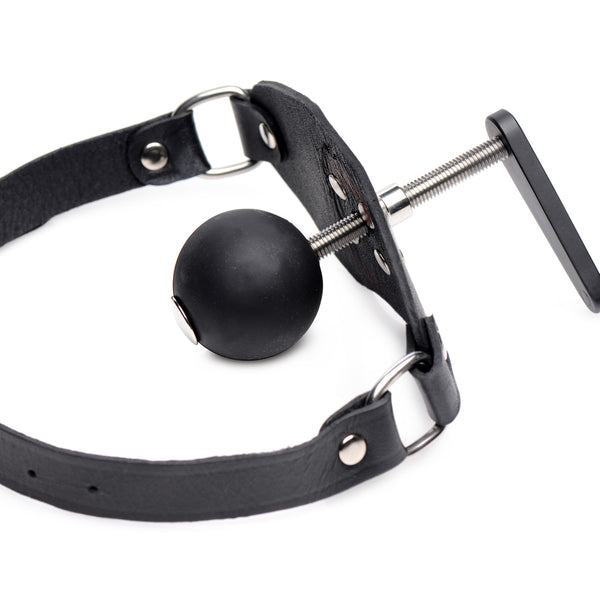 Crank Ball Gag