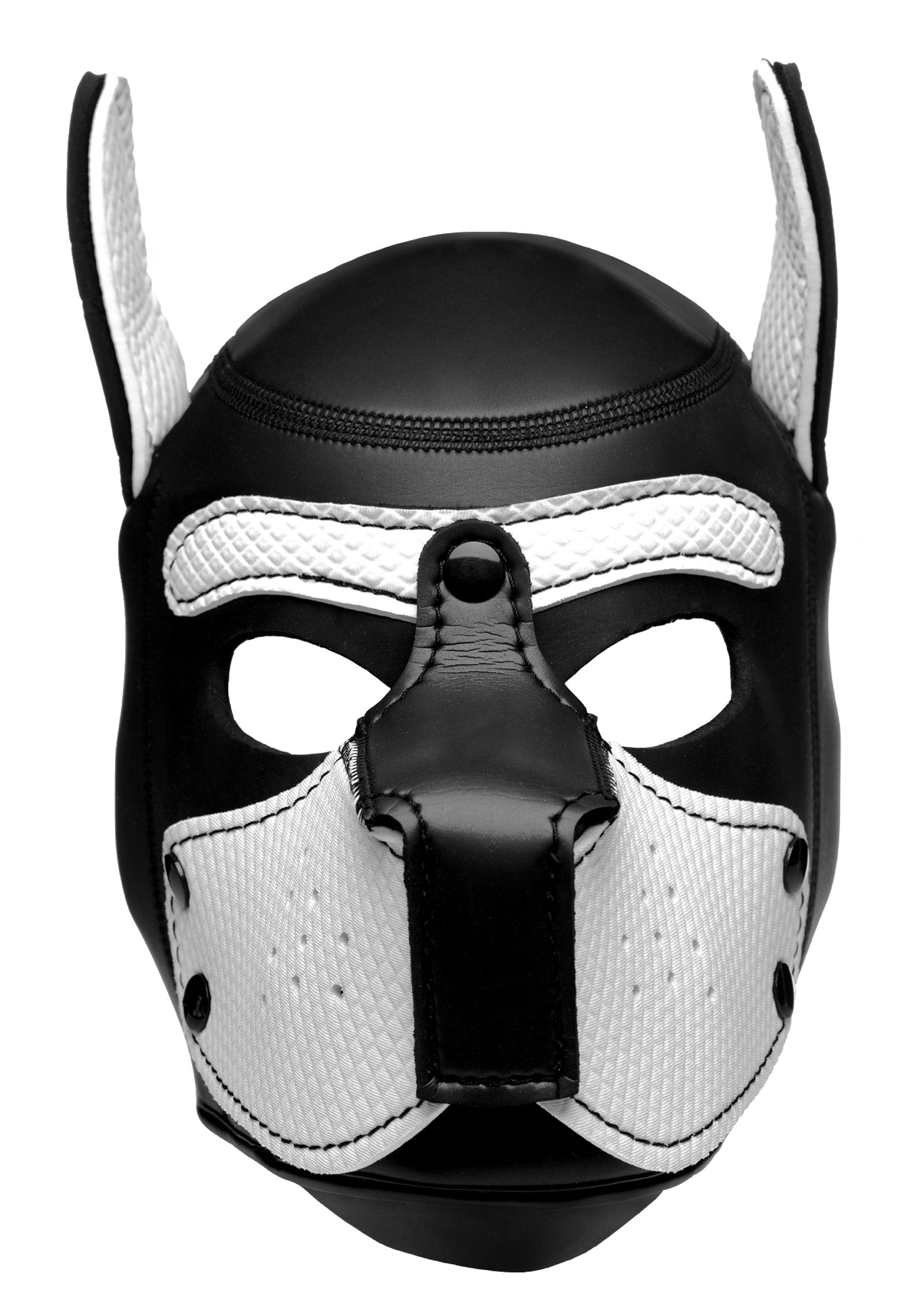 Spike Neoprene Puppy Hood