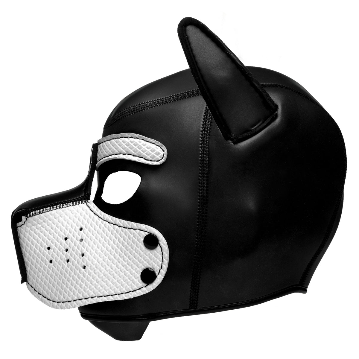 Spike Neoprene Puppy Hood -