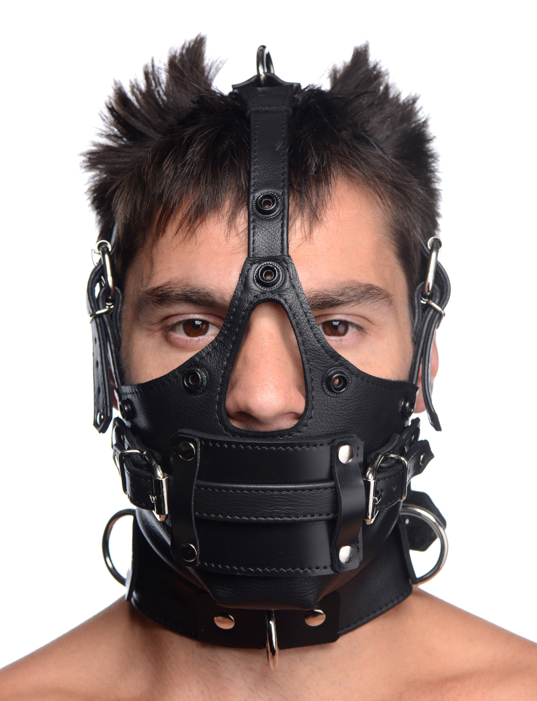 Leather Head Harness with Removeable Gag