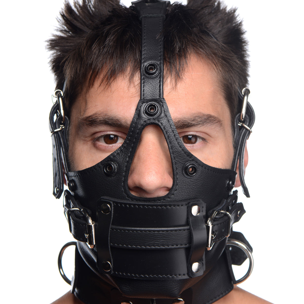 Leather Head Harness with Removeable Gag