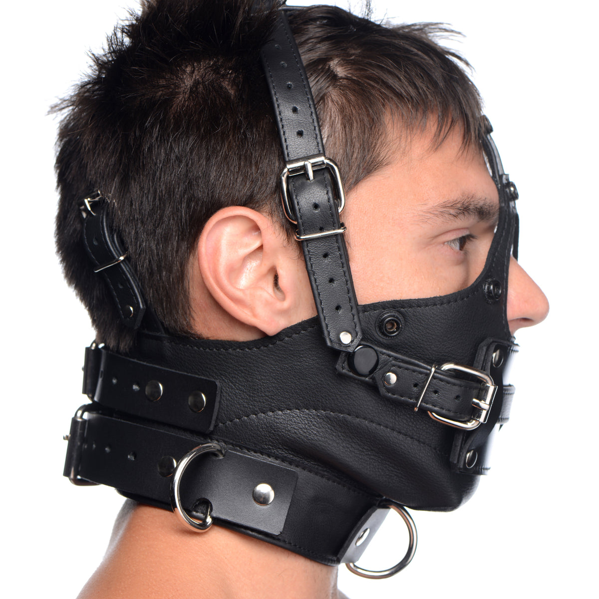 Leather Head Harness with Removeable Gag
