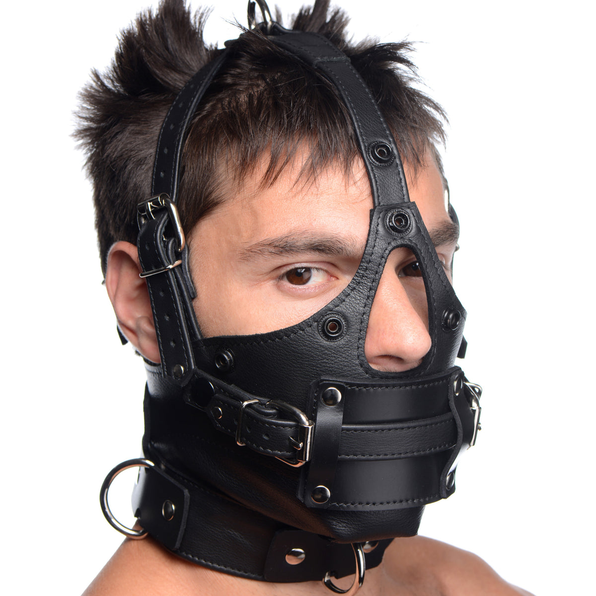 Leather Head Harness with Removeable Gag