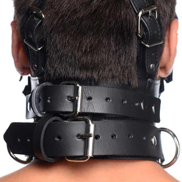 Leather Head Harness with Removeable Gag