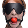 Blindfold Harness and  Ball Gag