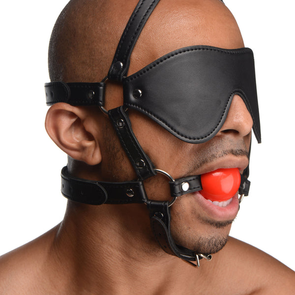 Blindfold Harness and  Ball Gag