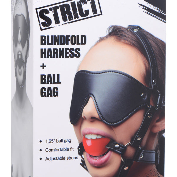 Blindfold Harness and  Ball Gag