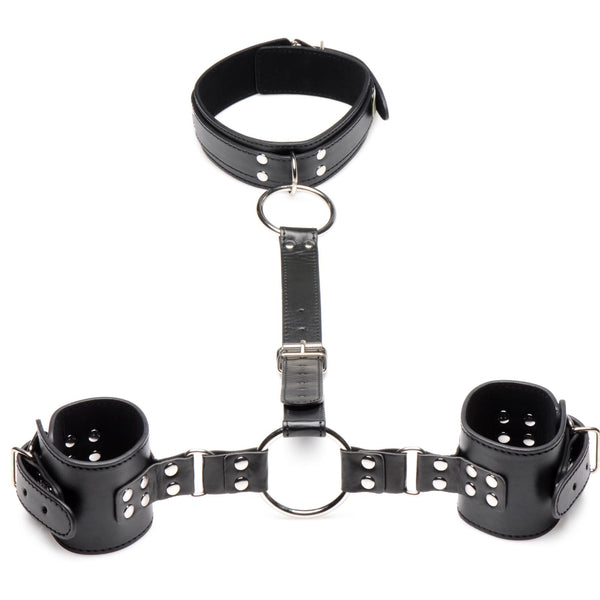 Neck to Wrist Restraints