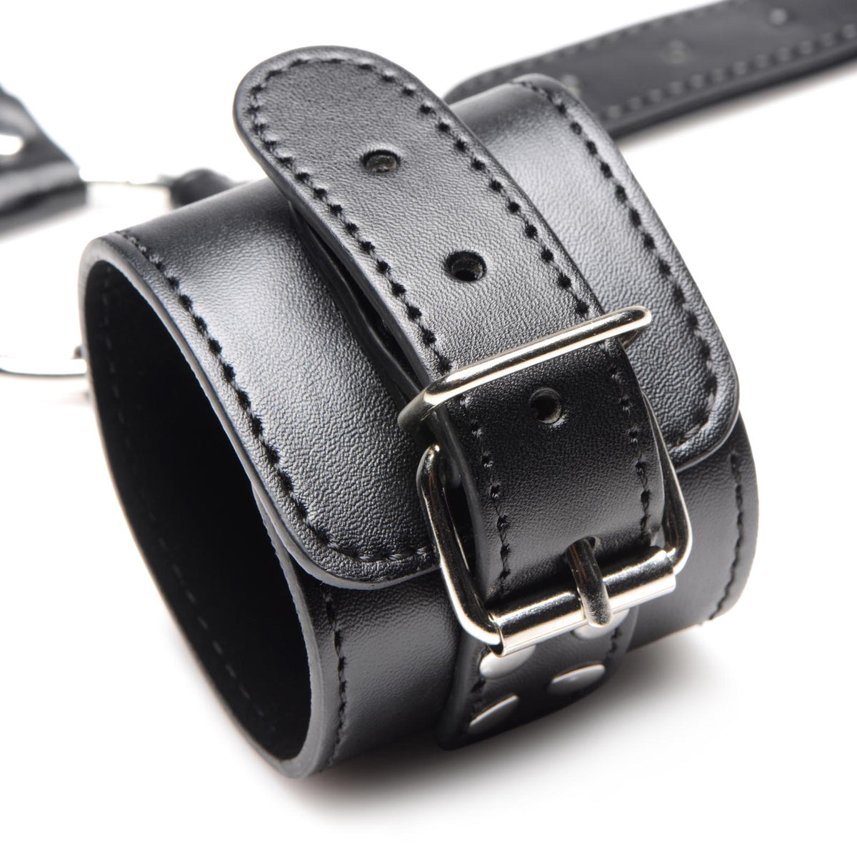 Neck to Wrist Restraints