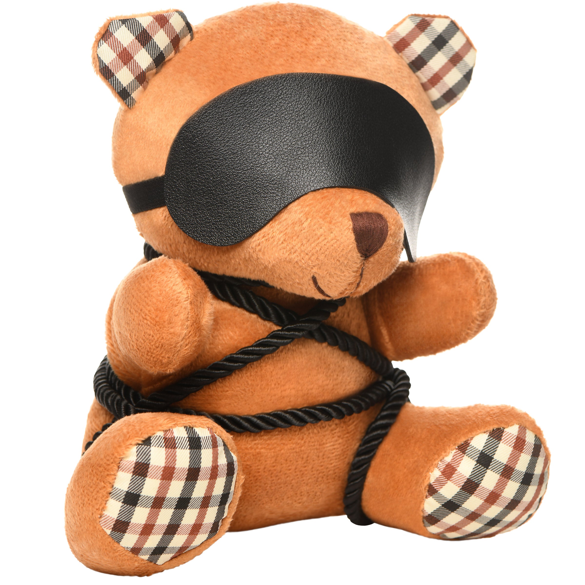 Rope Bondage Teddy Bear