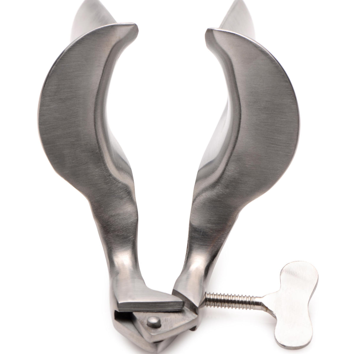 Collins Speculum