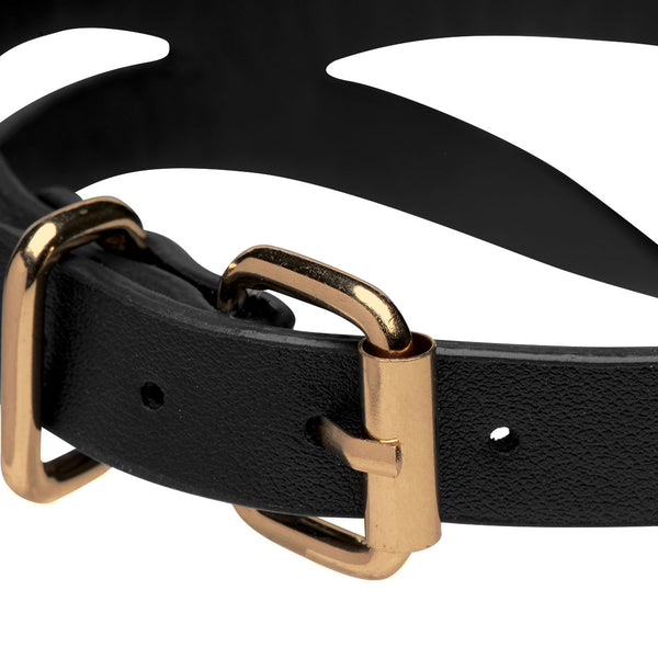 Black and Gold Collar with Leash Kit