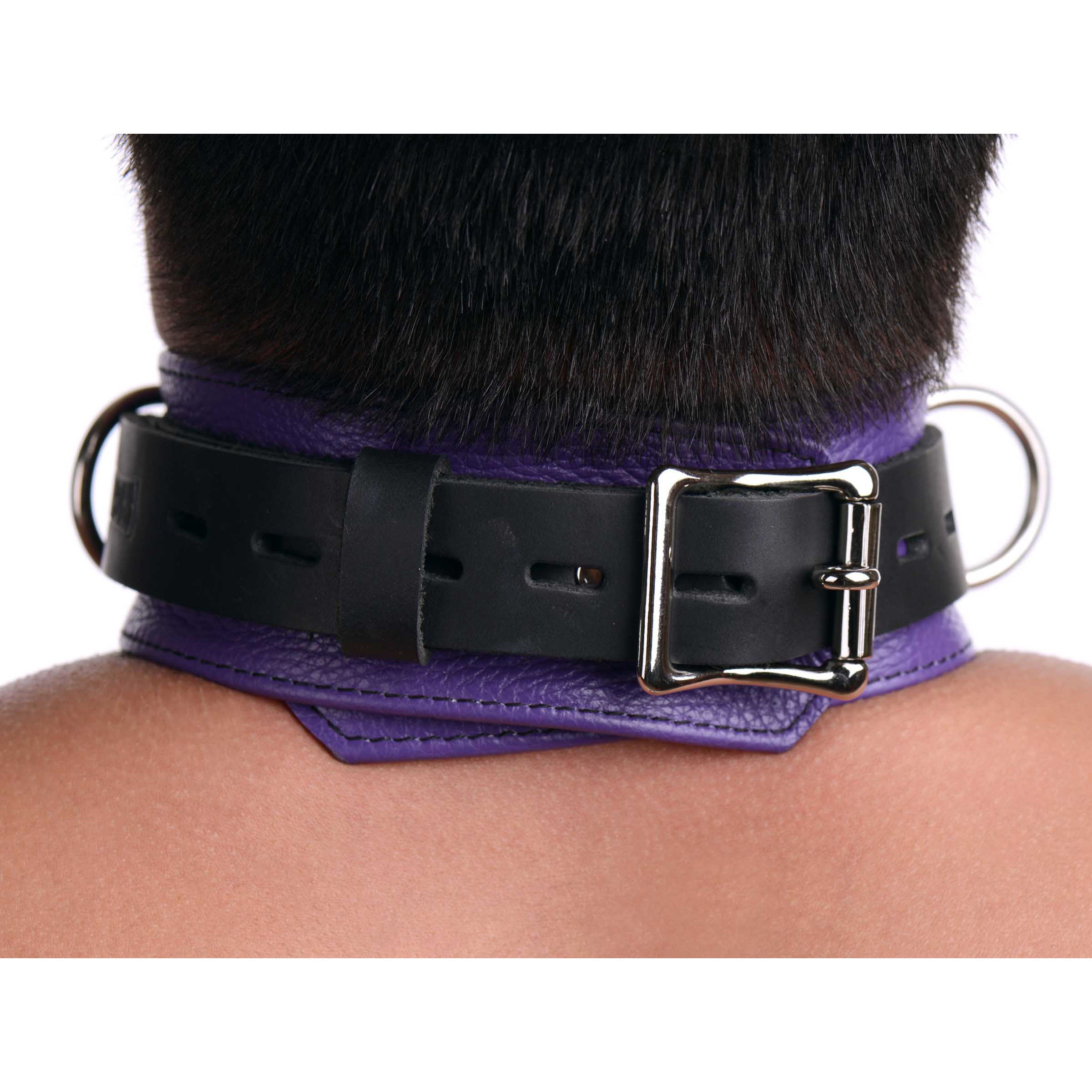 Strict Leather Deluxe Locking Collar -  and Black