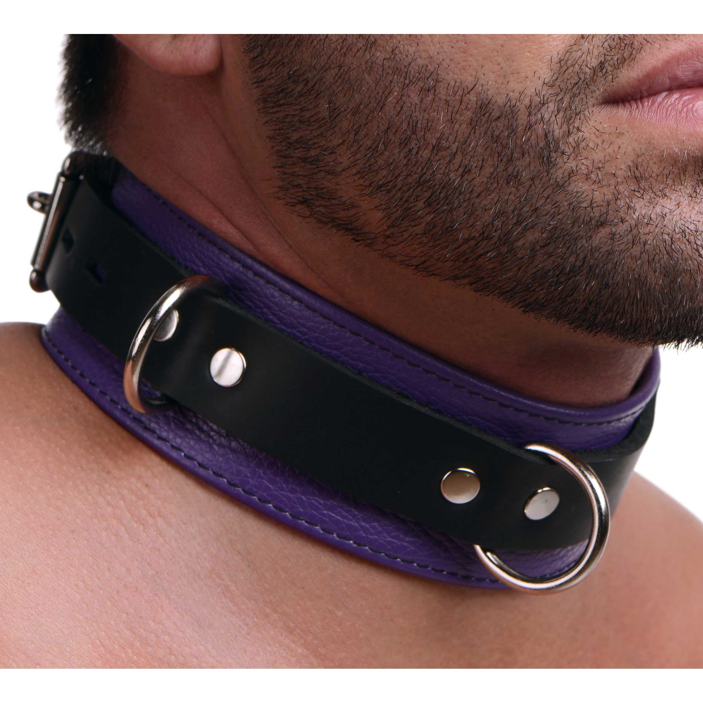 Strict Leather Deluxe Locking Collar -  and Black