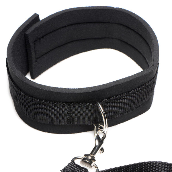 Frisky 46 Inch Leash and Collar Set