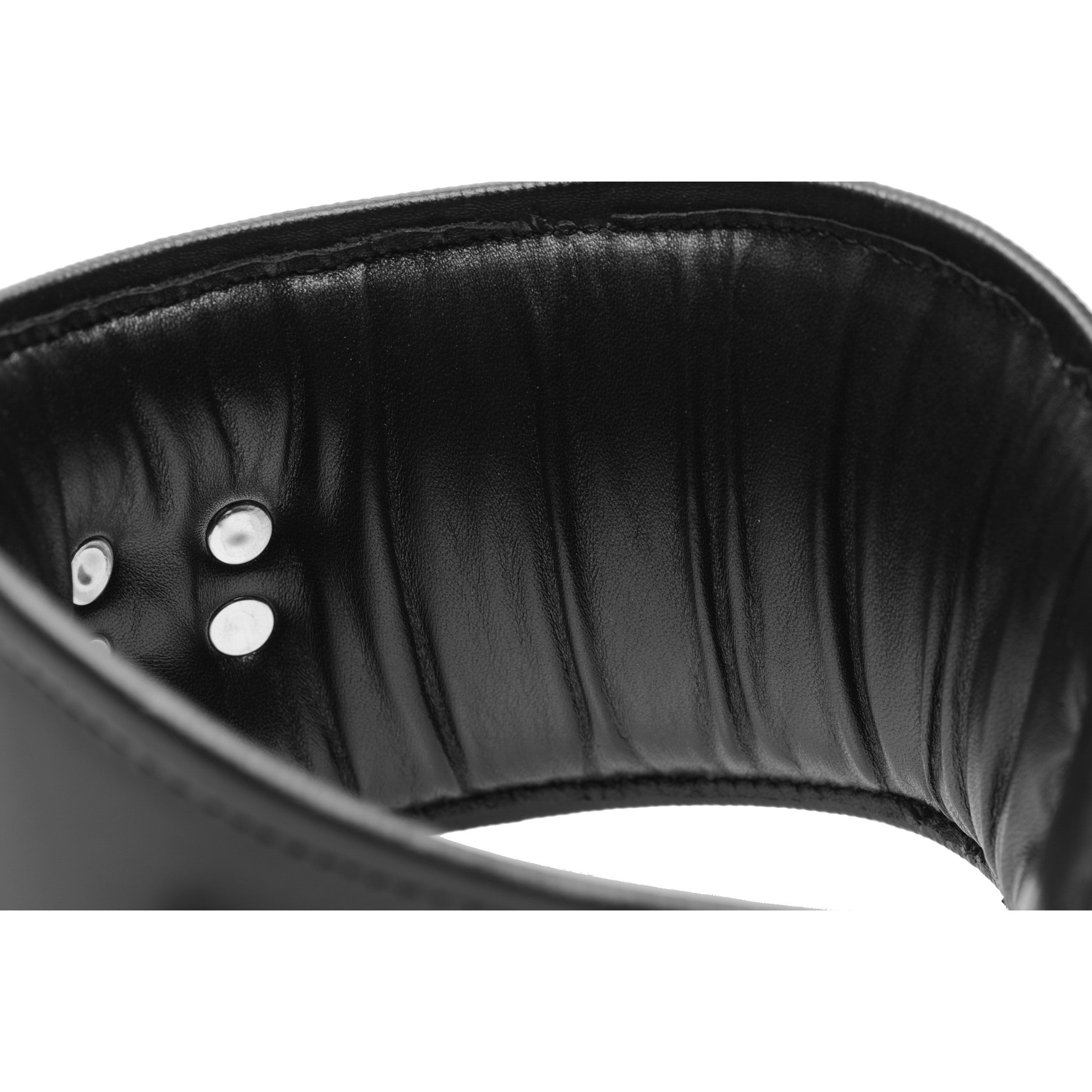 Padded Leather Locking Posture Collar