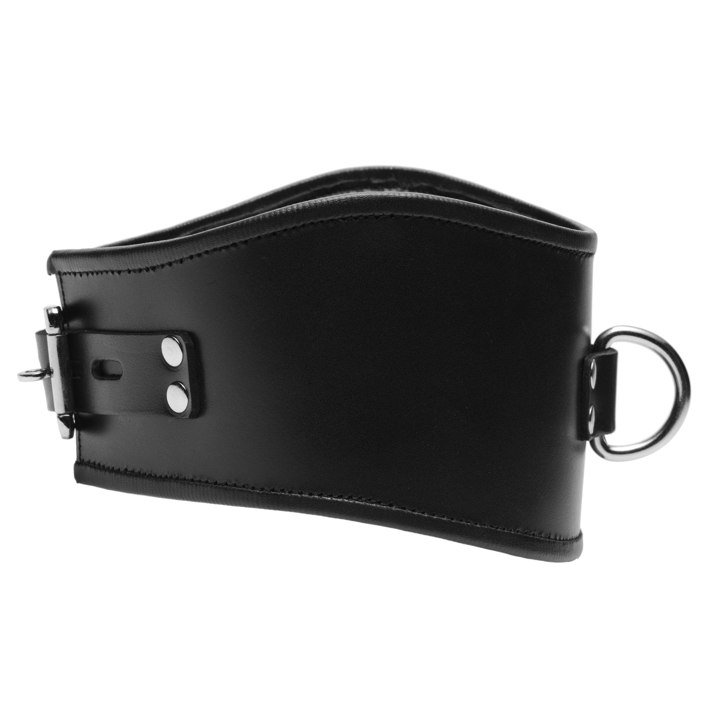 Padded Leather Locking Posture Collar