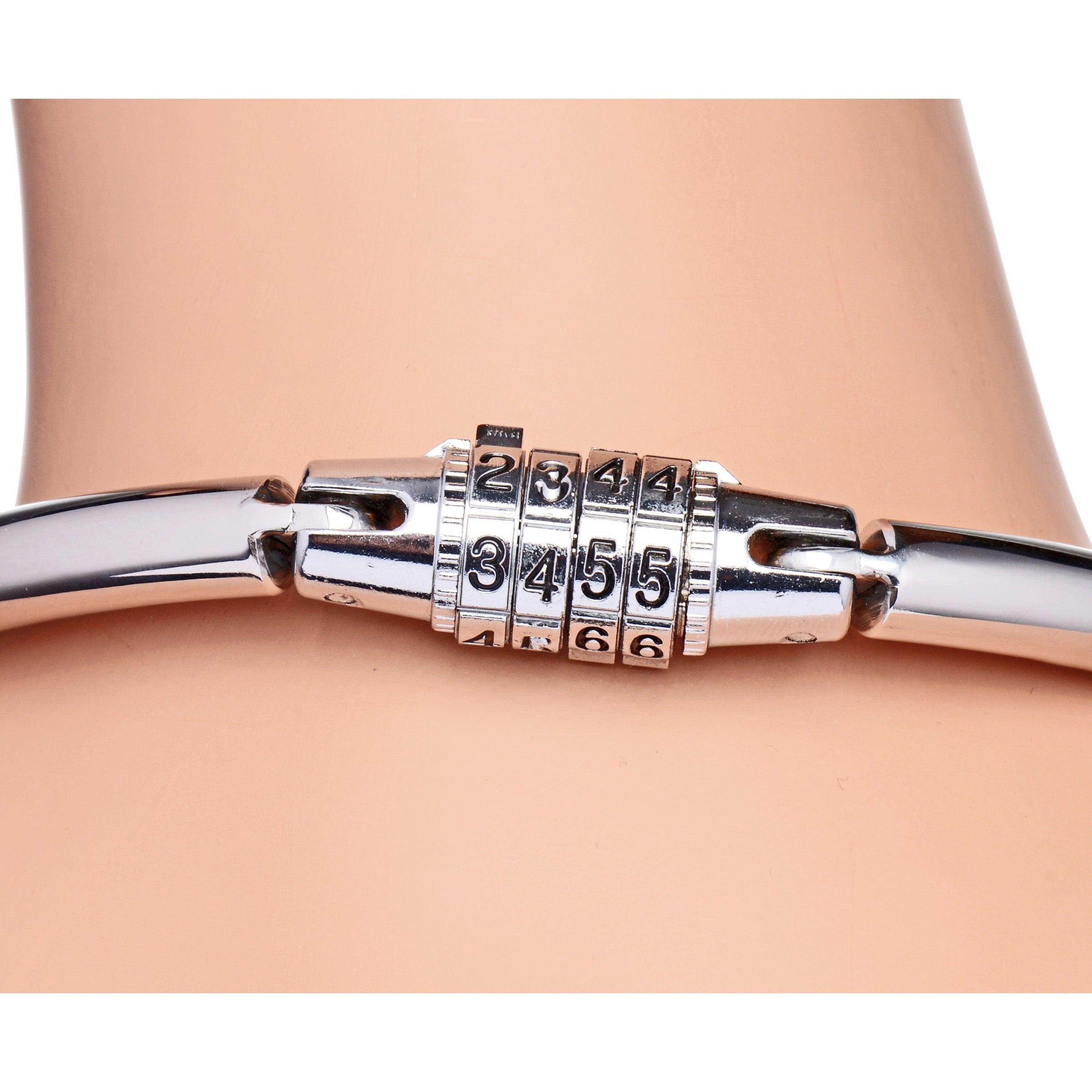 Stainless Steel Combination Lock Slave Collar